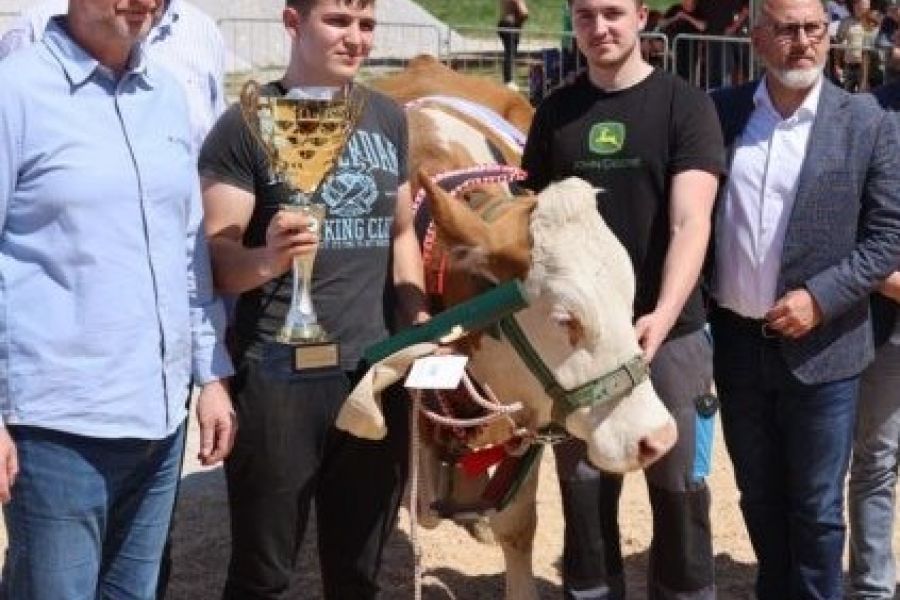 Izložba stoke Krapinsko-zagorske županije